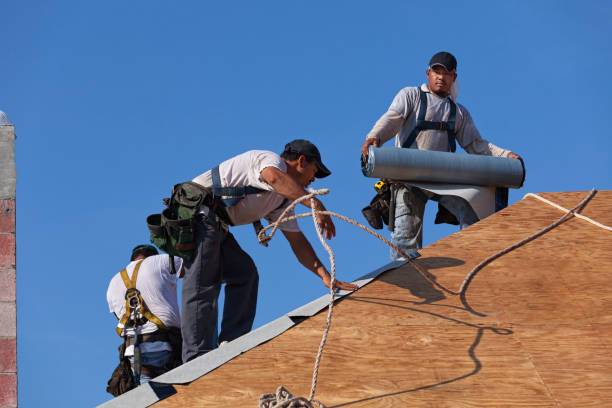 Best Flat Roof Repair Services  in Medpolis, IA