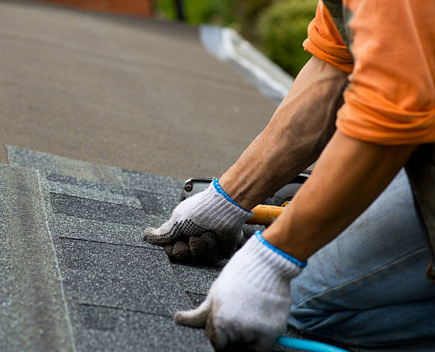 Best Metal Roofing Contractor  in Medpolis, IA